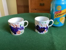 Pair Gaudy Welsh Ironstone