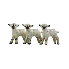 Beswick, Sheep, 937, Lamb X 3