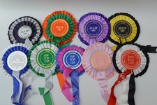 Vintage Julip Horse Pony Full Size Collectors Rosettes Assorted lot of 9