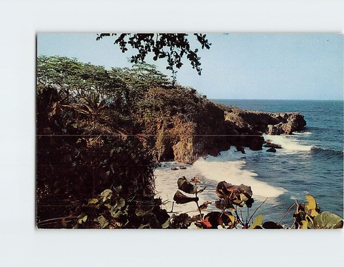 Postcard alligator head rock - postcard,