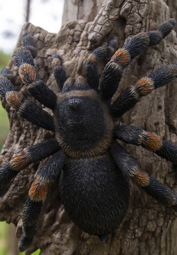 Tarantula garden statue spider - tarantula,