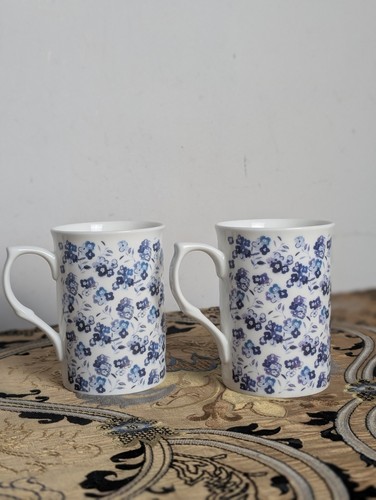 Rose england multi blue - 2x,