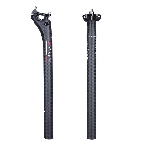 Carbon fibre bicycle - carbon,