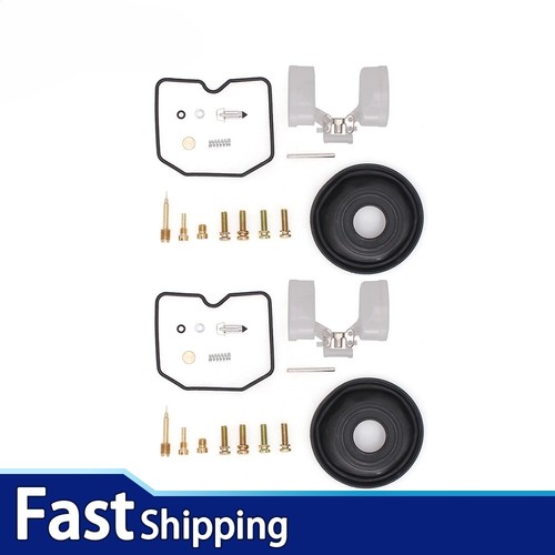Carburetor repair kit - 2x,