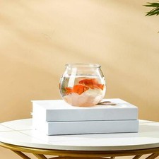 Fishes Tank Clear Aquarium