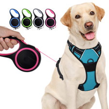 Retractable Dog Lead Training