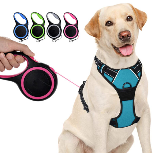 Retractable dog lead - retractable, training