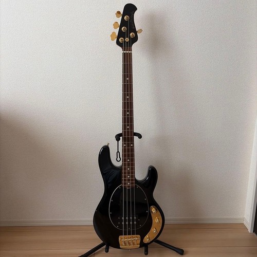 Ernie ball music man stingray - ernie,