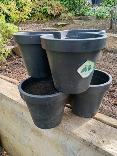 Tripots litre plastic - litre, plant