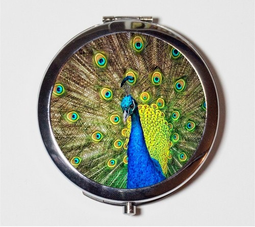 Peacock bird animal - bird,