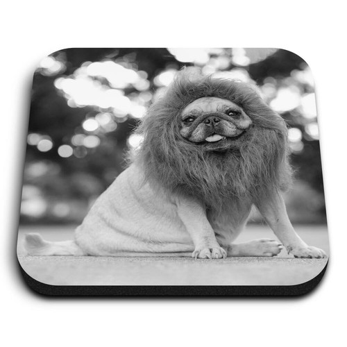 Square mdf magnets - square,