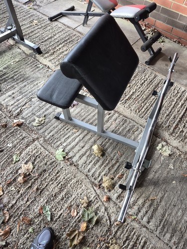 Unbranded preacher curl bench - unbranded,