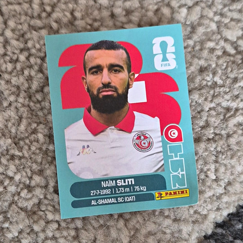 Panini fifa world cup - panini,