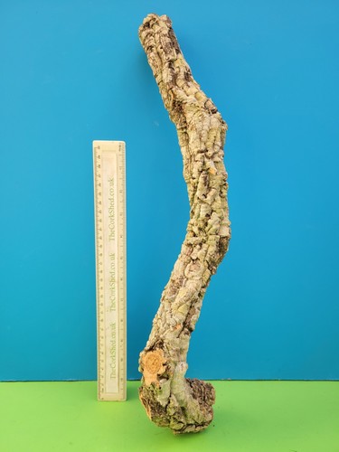 Cork bark branch - bark, 48cm