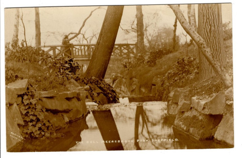 Early copleston sepia - an,