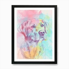 Chesapeake Bay Retriever Dog