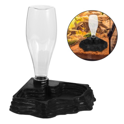 Lizard tank accessories - lizard,
