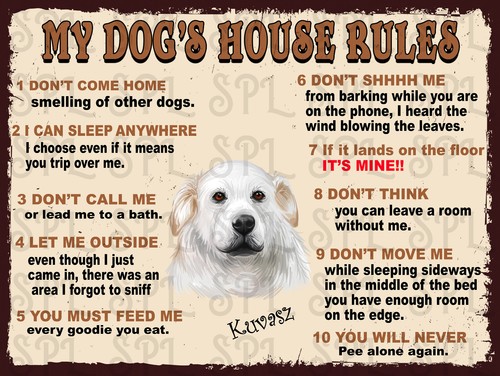 Kuvasz dog house - kuvasz,