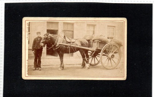 Carte visite horse and - carte,