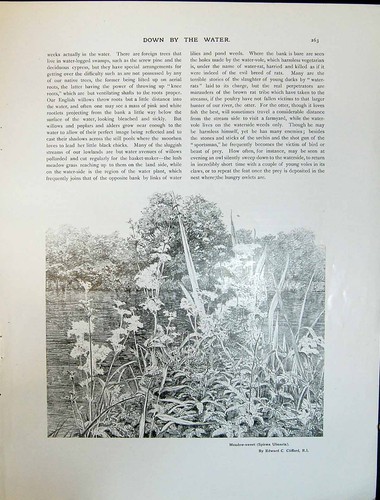 Old art journal 1908 - art, meadow