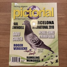 Racing Pigeon pictorial