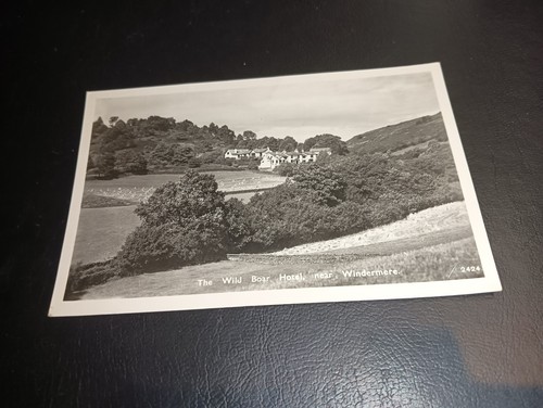 The wild boar - hotel,, nr