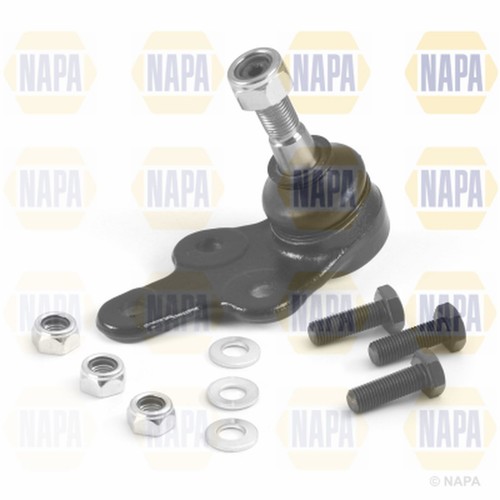 Front lower ball joint - lower,