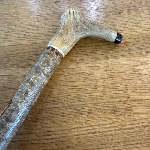 Vintage shepherds crook long - shepherds,
