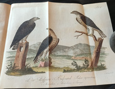 Joh. Matt. Bechstein, 1701