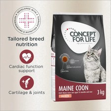 Concept for Life Maine Coon
