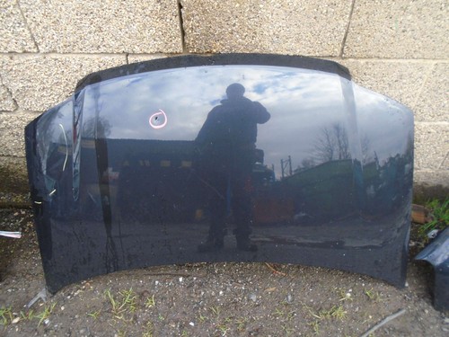 Fiat panda active bonnet black - active,