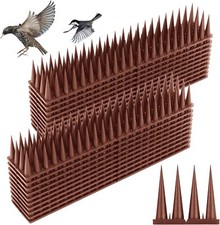 10m 20m bird - bird, spikes