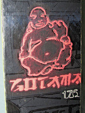 Volkl Gotama all mTn Twin Tip