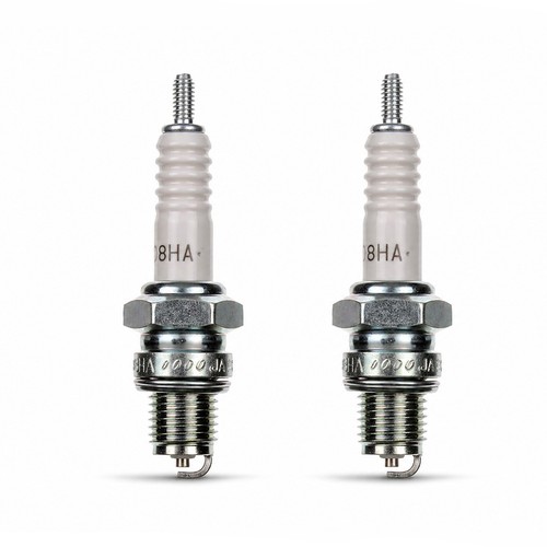Ngk spark plug - 2x,