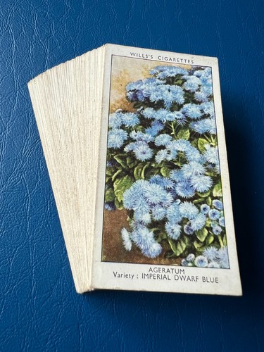 Wills garden flowers - -,