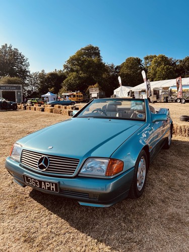 Beryl 1994 mercedes - 1994,