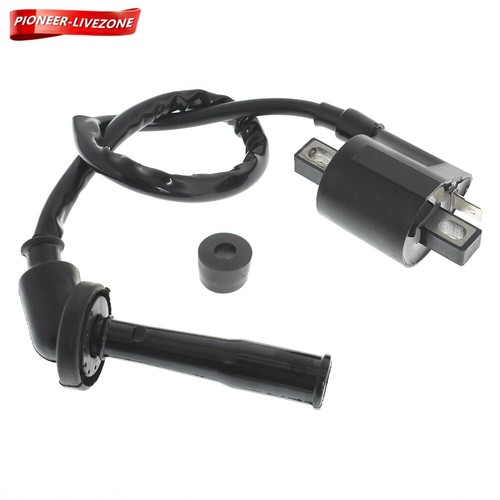 Ignition coil for - coil, 2001