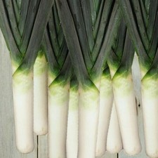 T&M Leek Seeds Hardy Vegetable