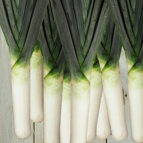Leek seeds hardy vegetable - seeds,