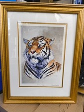 STEPHEN GAYFORD GOLD FRAMED INDIAN TIGER PRINT  ARTIST SIGNED PRINT