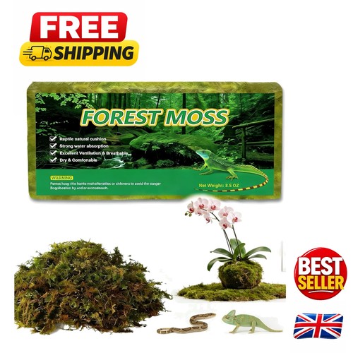 Versatile natural sphagnum - versatile, 5l