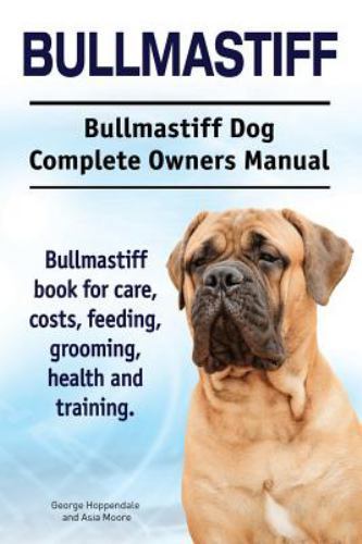 Bullmastiff dog - bullmastiff,