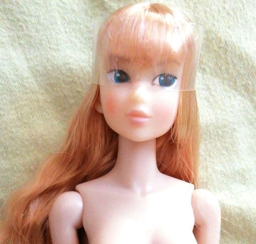 Ccs momoko todays 14hb - ccs,