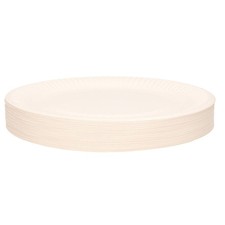 White Disposable Paper Plates