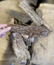 6 Pieces Of Reptile Safe Bark For Natural Enclosures Vivariums • Vivarium Wood
