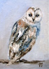 Owl Original Oil Painting Bird