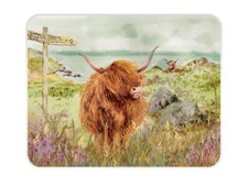 NT HIGHLAND CATTLE Tuftop