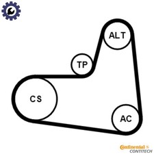 VRIBBED BELT SET 6PK1005K1 FOR