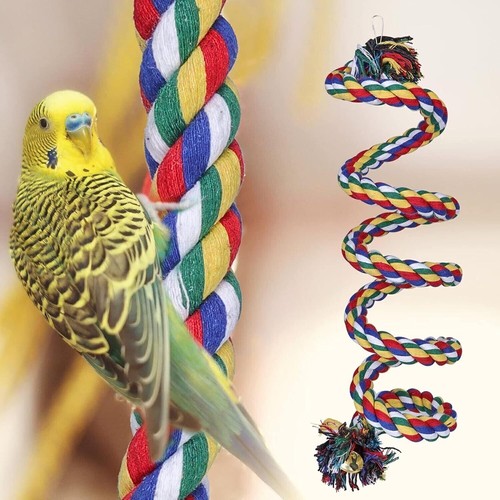 Parrot stand perch bird - parrot,