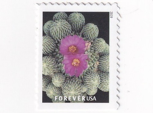 Stamp scott 5355 cactus - scott,